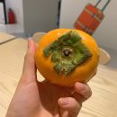 서울그랜드호스텔 이대 이미지