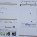 한미패션 | 오팔 중 가장 가치가 높다는 블랙 오팔 목걸이 세팅 후기🇦🇺💍