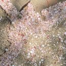 활터어린이공원 이미지