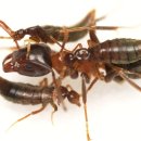 my drink museum 이미지