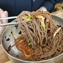 다울막국수 티스토리