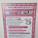 익산 고양이카페 아이캣유 이미지