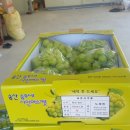 송산동로 이미지