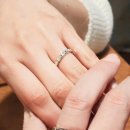 안시하 카카오 검색결과