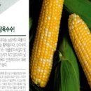 진양원예사 이미지