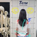 택짐피티샵 이미지