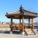 오시기식당 이미지