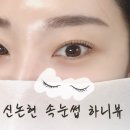 신논현 속눈썹 하니뷰 | [신논현역속눈썹펌 추천] 신논현속눈썹 하니뷰 L컬 후기