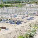 용수농장 이미지