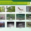 서부공원녹지사업소 이미지