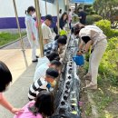 압해동초등학교 이미지