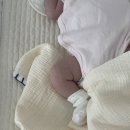 안데르센 올리버 하이가드 데이베드 설치 후기 (+미소네이처 침대패드)