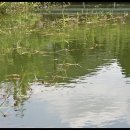 보물섬낚시터 이미지