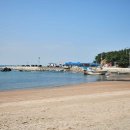 베스트(236) 이미지