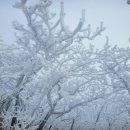 썬비치게스트하우스 이미지