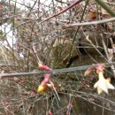 수지면 산촌마을 | 남원 지리산 산촌체험 1박2일 다녀오다!!