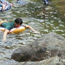 사지목 나무그늘 이미지