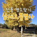 삼세오충열사 이미지