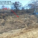 강화목장 이미지