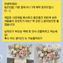 지정축산 | 시댁 첫인사 선물로 신부축산 한우와 꽃바구니 준비해서 칭찬받은 후기 (가격포함)