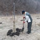 웰빙농장 이미지