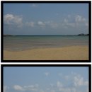 아이리스(IRIS) 이미지