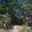 오솔길 농장 이미지