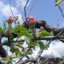 한은농장 이미지