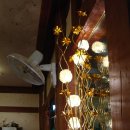 숲속의다향 이미지