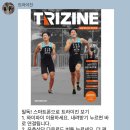 트라이진