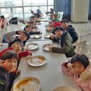 용호태권도 이미지