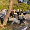 팔영산오토캠핑장 이미지