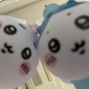 황박사 수원 왕 갈비 | [2月] 이러니가 살이찌지🐷