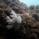 남해-214 이미지