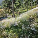 필봉공원 이미지