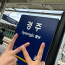 자매치킨식당
