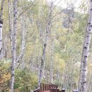 미숭산자연휴양림 이미지