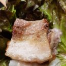 또바기막창 이미지