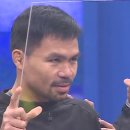 복싱피플 이미지