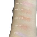 플뢰르드로투스