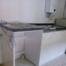 coco puppy 이미지