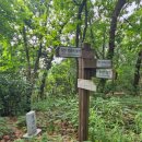 여주-0954 네이버블로그