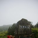 써니허니 게스트하우스 이미지