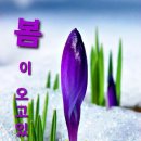 예쁜하루 이미지