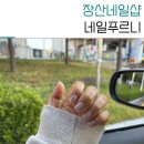 유디네일 - 부산진구 서전로37번길 20 | 장산 네일푸르니 마블 벨벳 11월네일아트 후기
