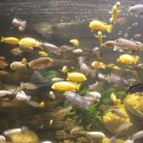 아쿠아플라넷 제주 이미지