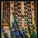 허브향기 이미지