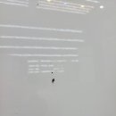 글로스광택 네이버블로그