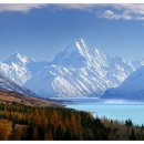 사림동310 이미지