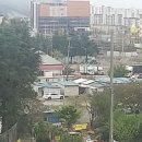 일등마켓 Daum카페